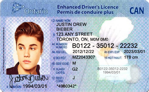 Canada Driver License Template Download
